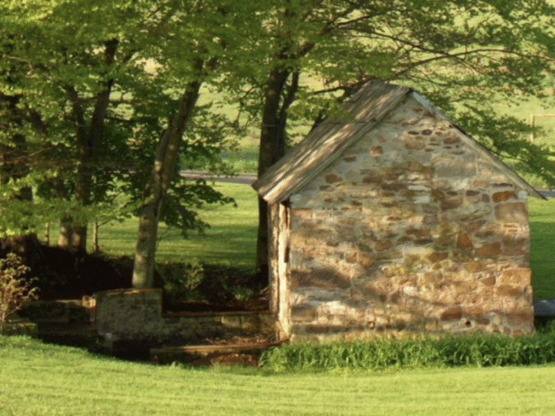 Shady Spring Farm